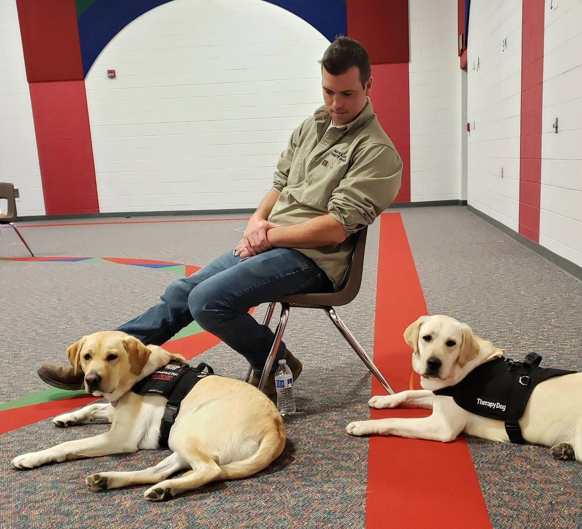 Man seated in a training room with two yellow dogs lying on leashes in front of him.