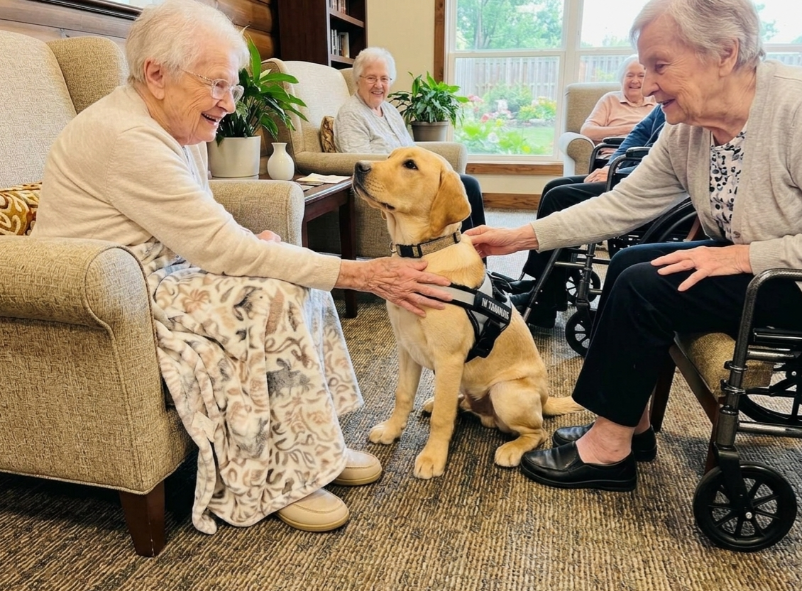 Two seniors pet a golden retriever in a cozy living room, with other residents seated nearby.
