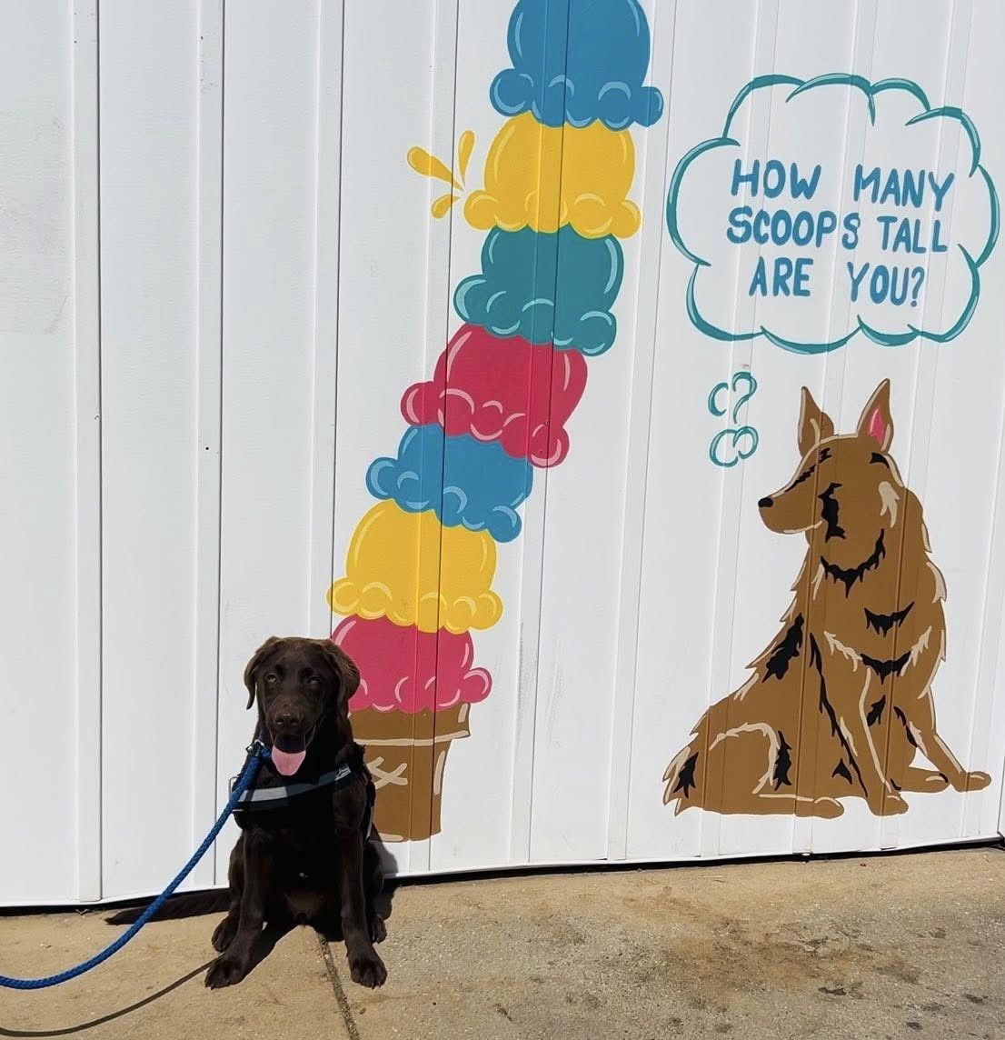 Black dog on a leash sitting by a painted wall with a tall stack of colorful ice cream scoops and speech bubble.