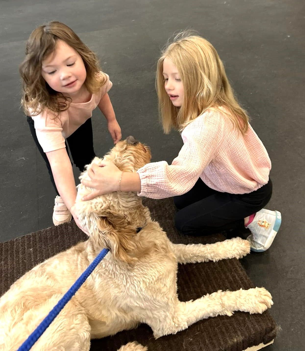 Two children pet a large golden dog lying on a rug indoors.