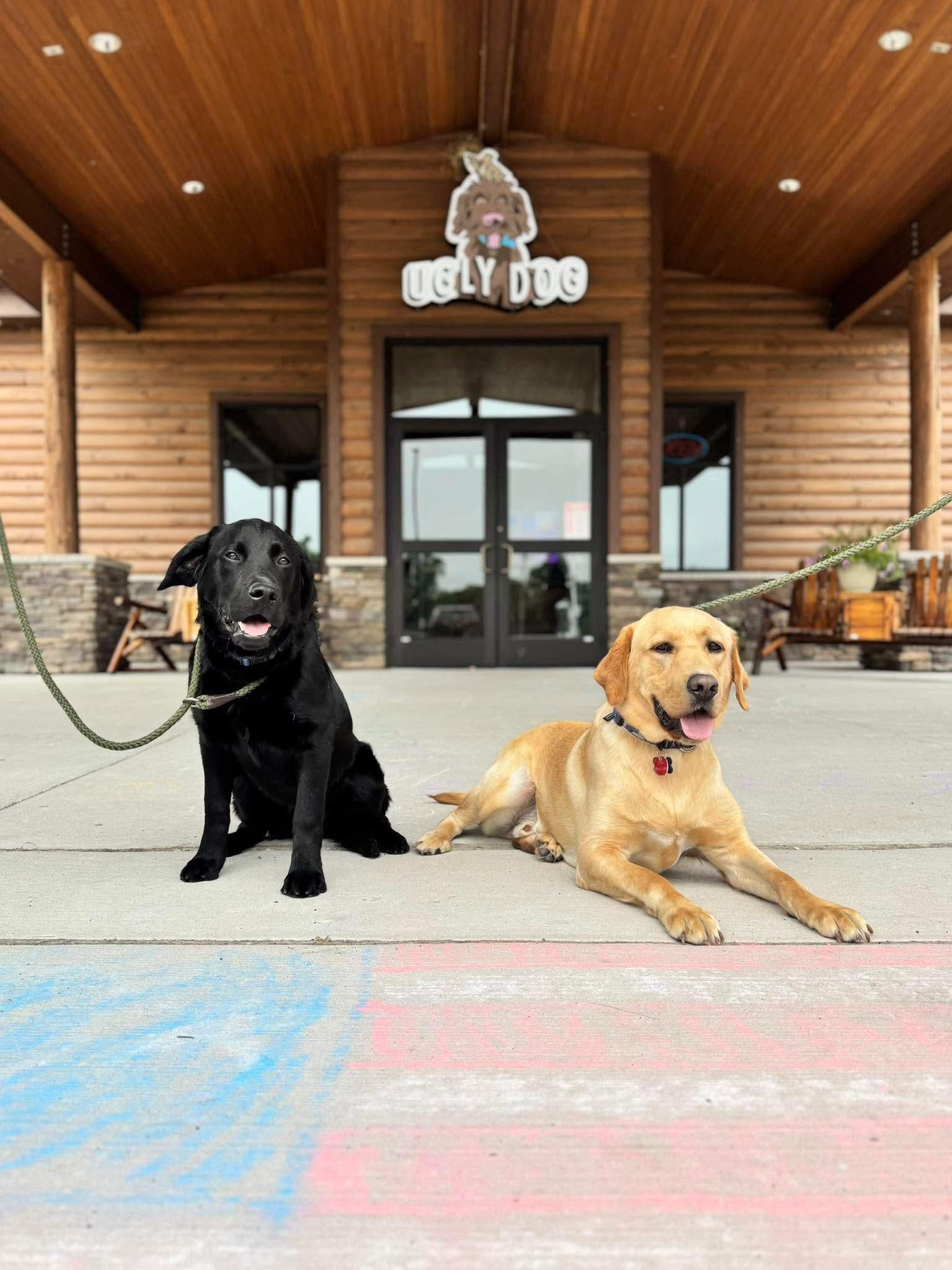 Two dogs on leashes sit outside a rustic wood building with a glass door and porch.