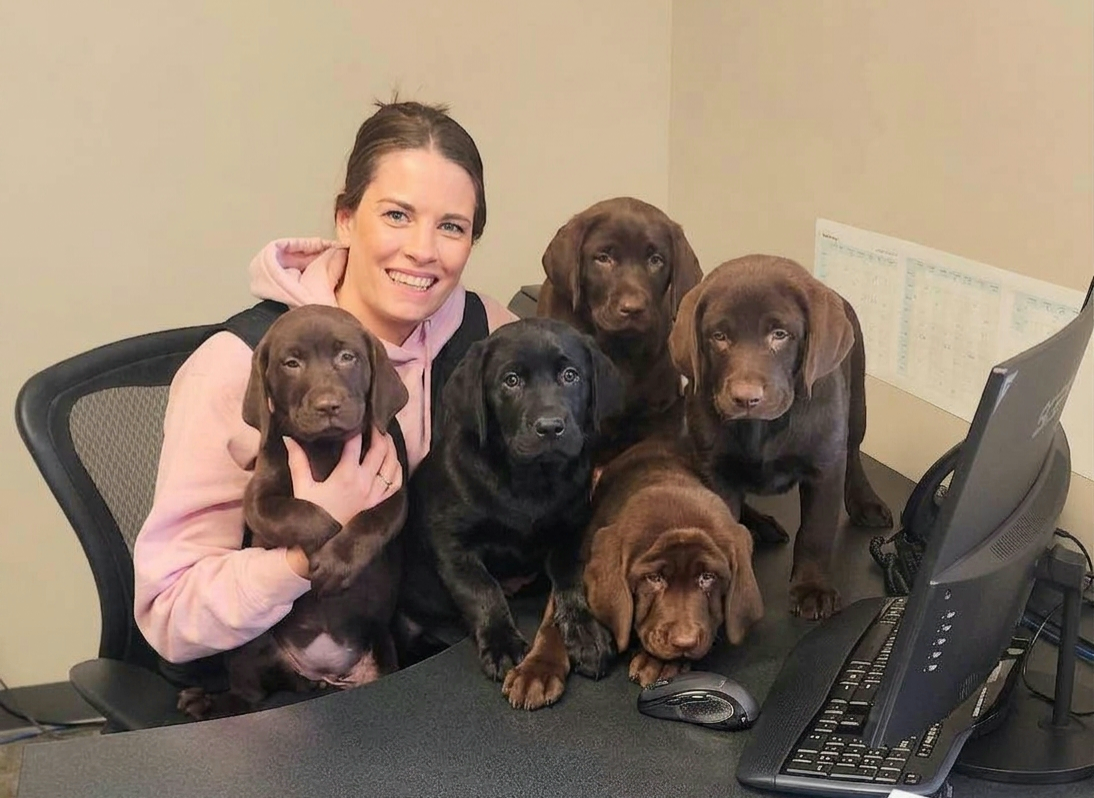 Woman holding a brown puppy with four puppies on a desk beside a computer monitor