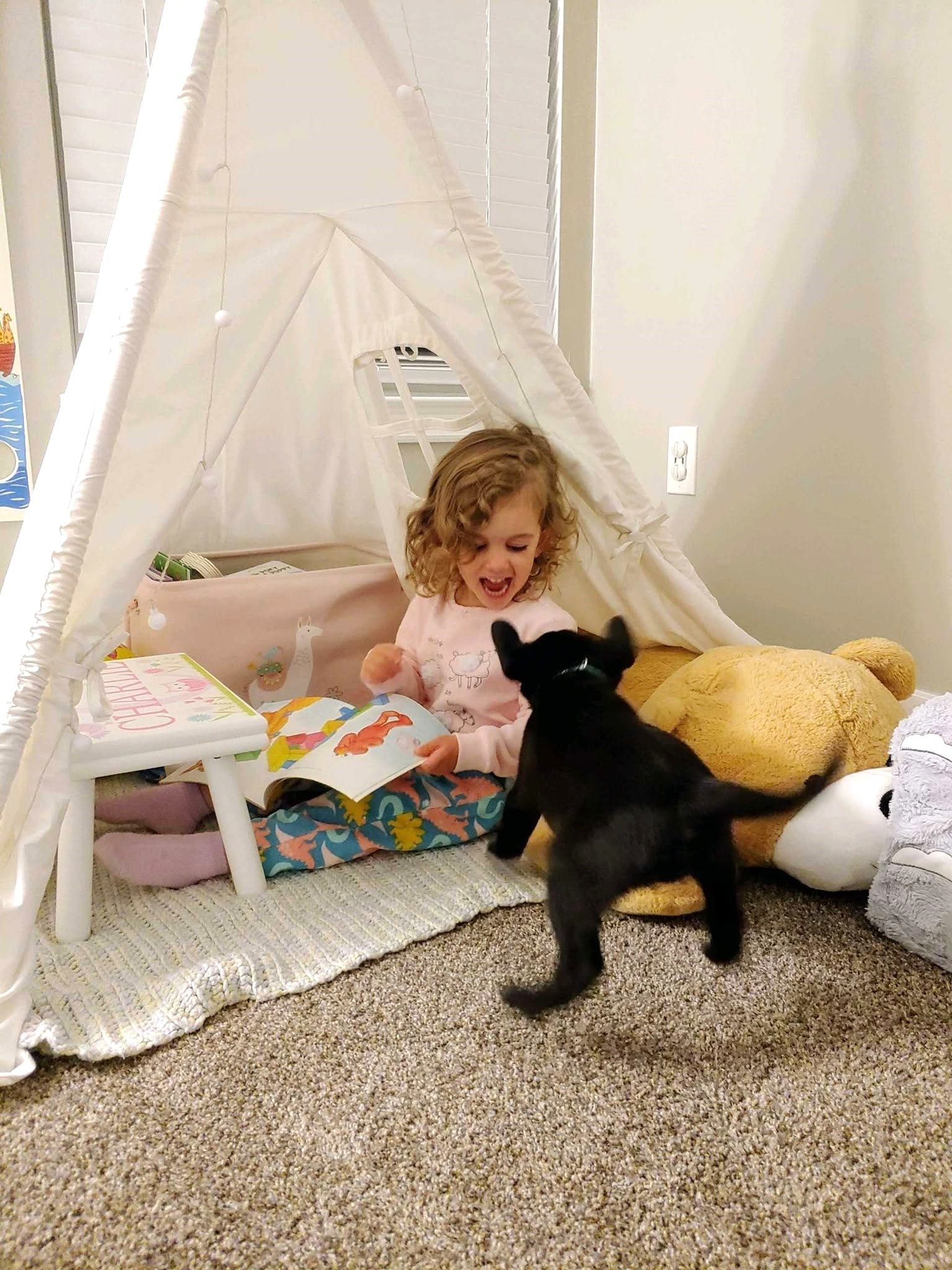Toddler playing in a white teepee with a black dog and stuffed animals on a carpet.