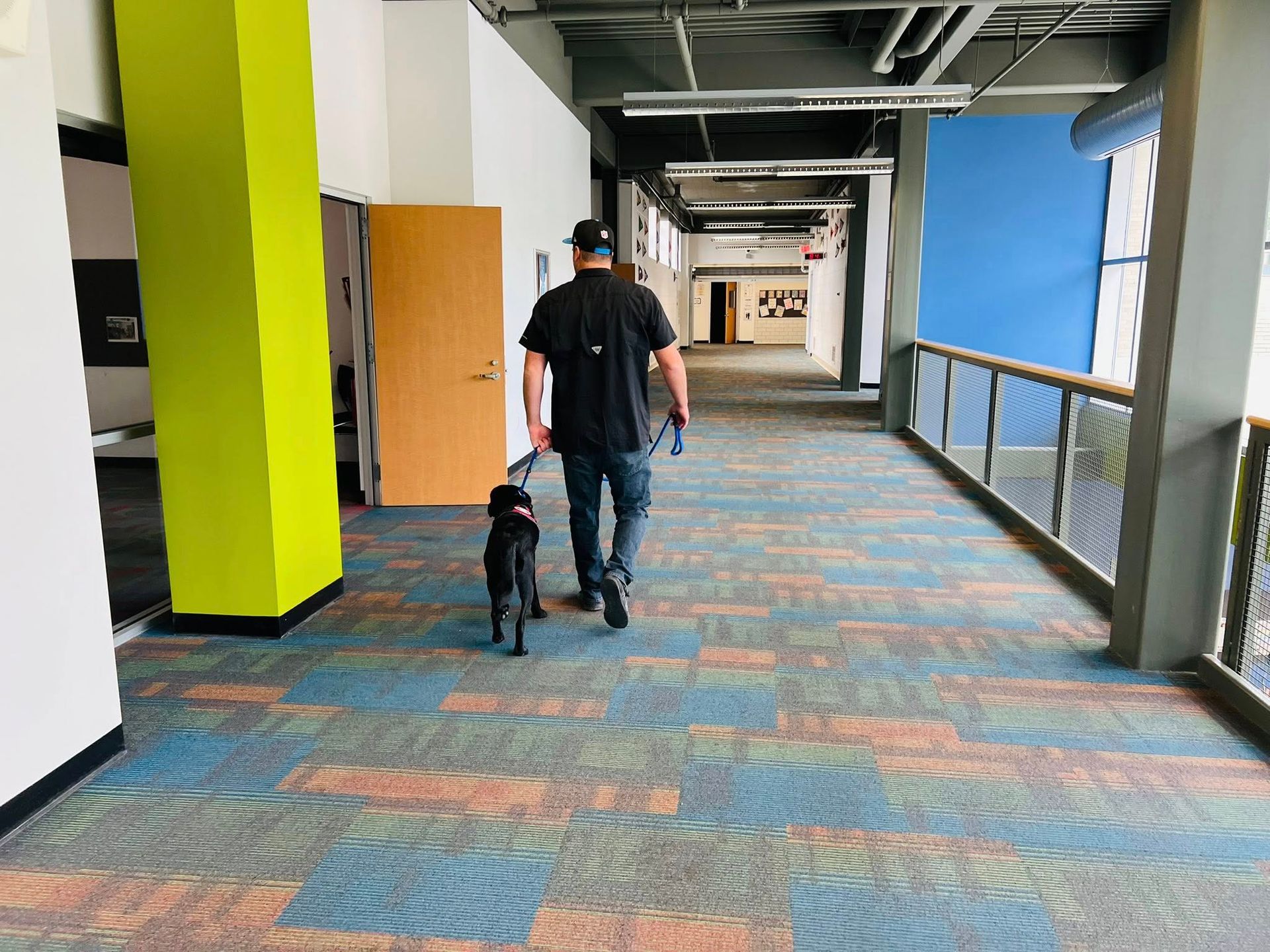 Person walking a black dog down a bright indoor hallway with colorful carpet and large windows