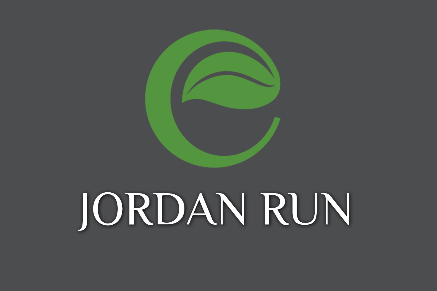 reactrun jordan