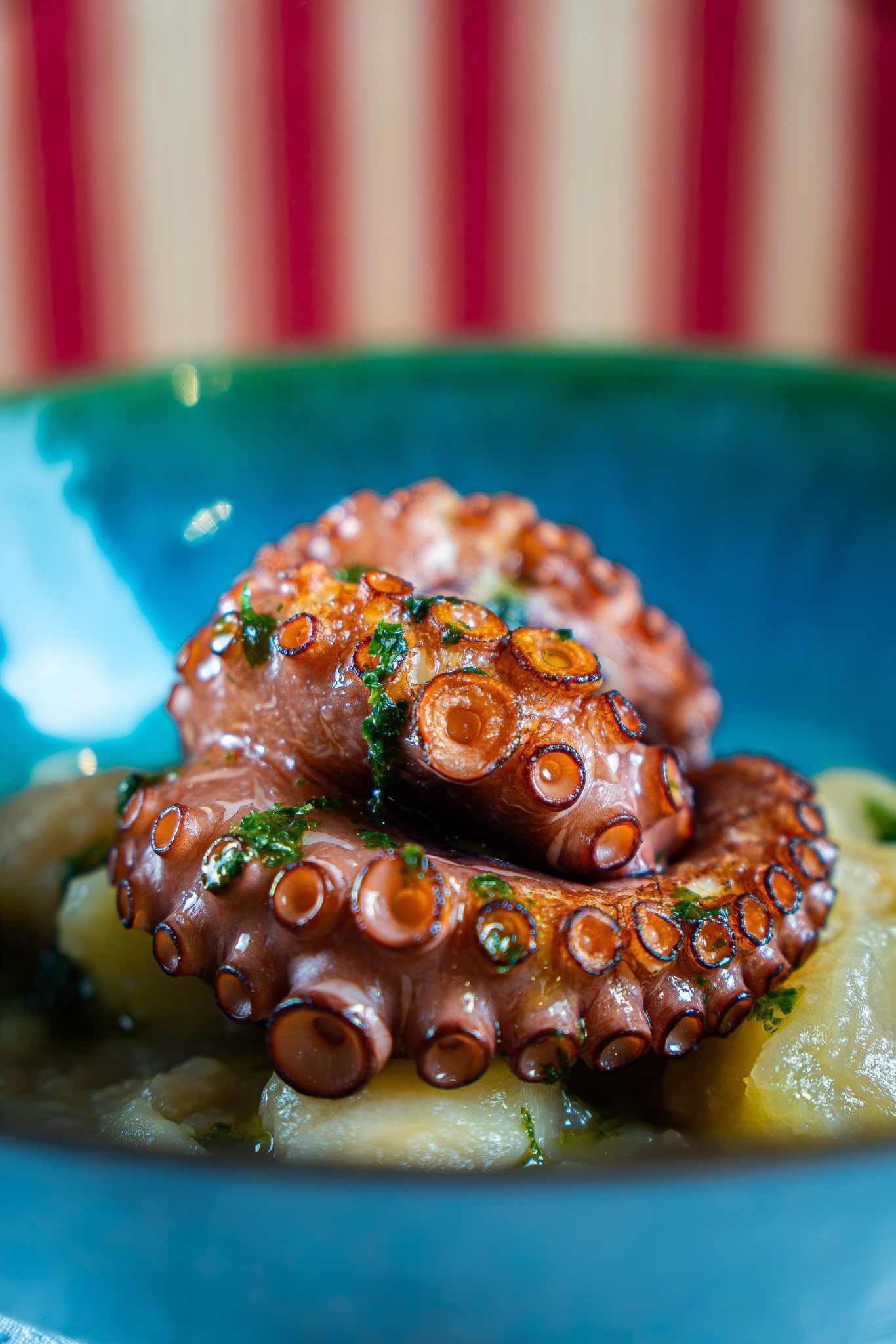 Tentacoli di polpo alla griglia su un piatto blu, con salsa e verdure