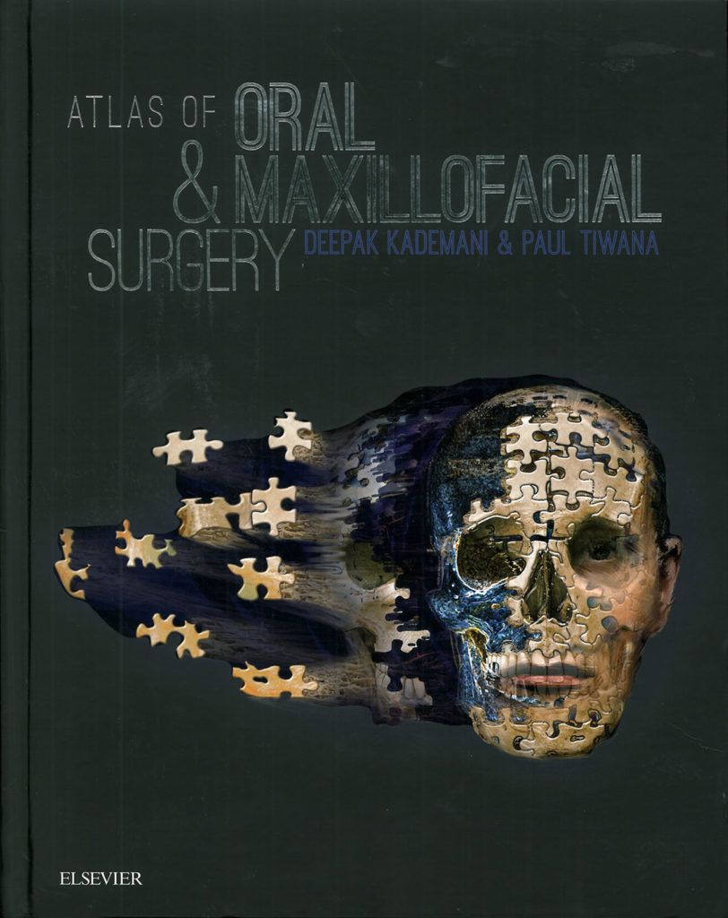 Book cover for 