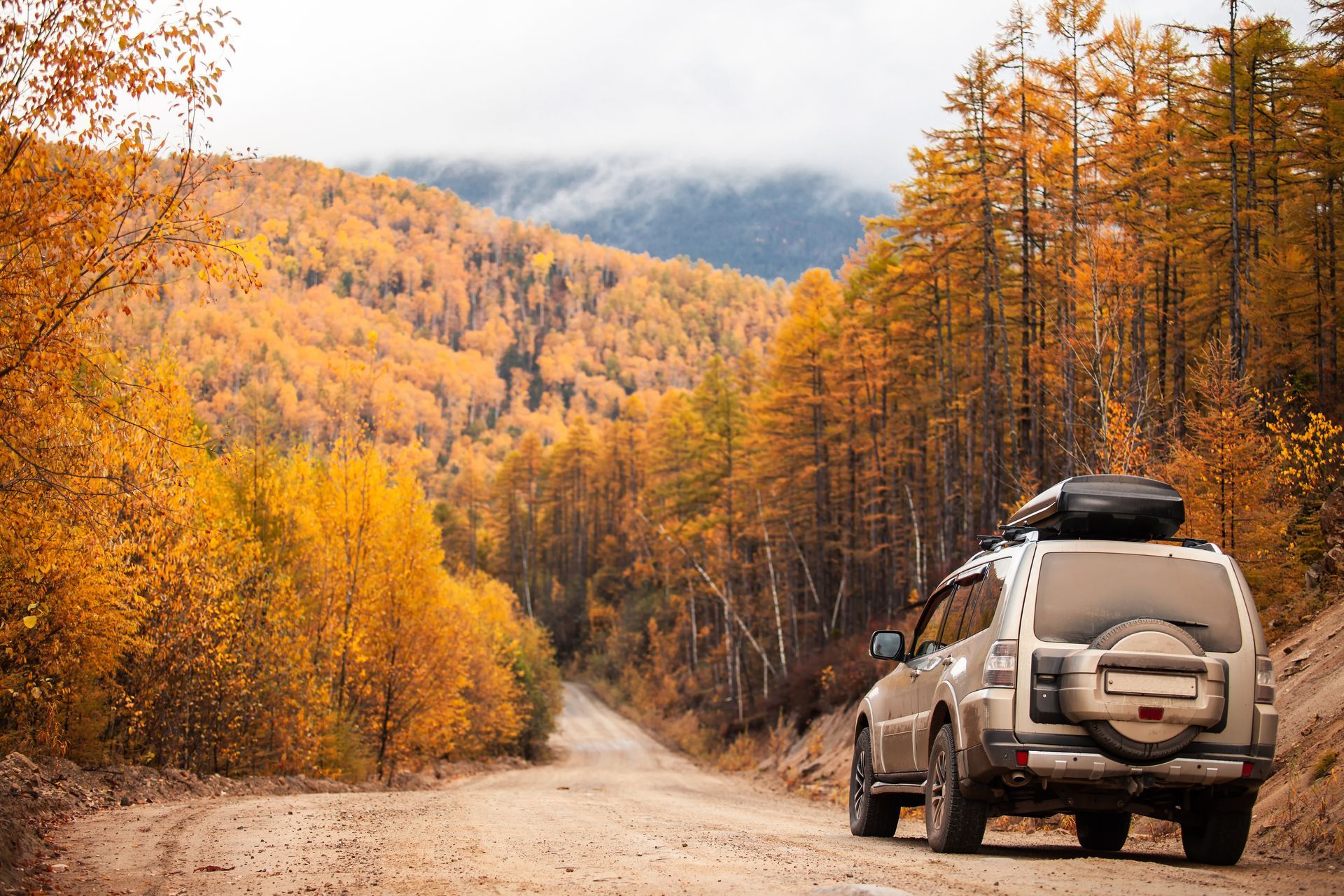 A car on the road | Woodie's Auto Service & Repair Centers