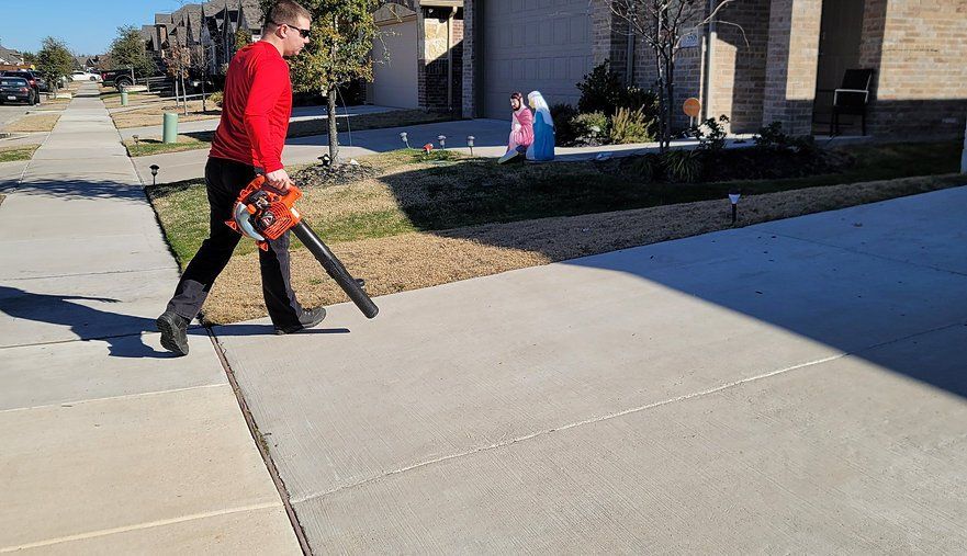 Property Clean Up
