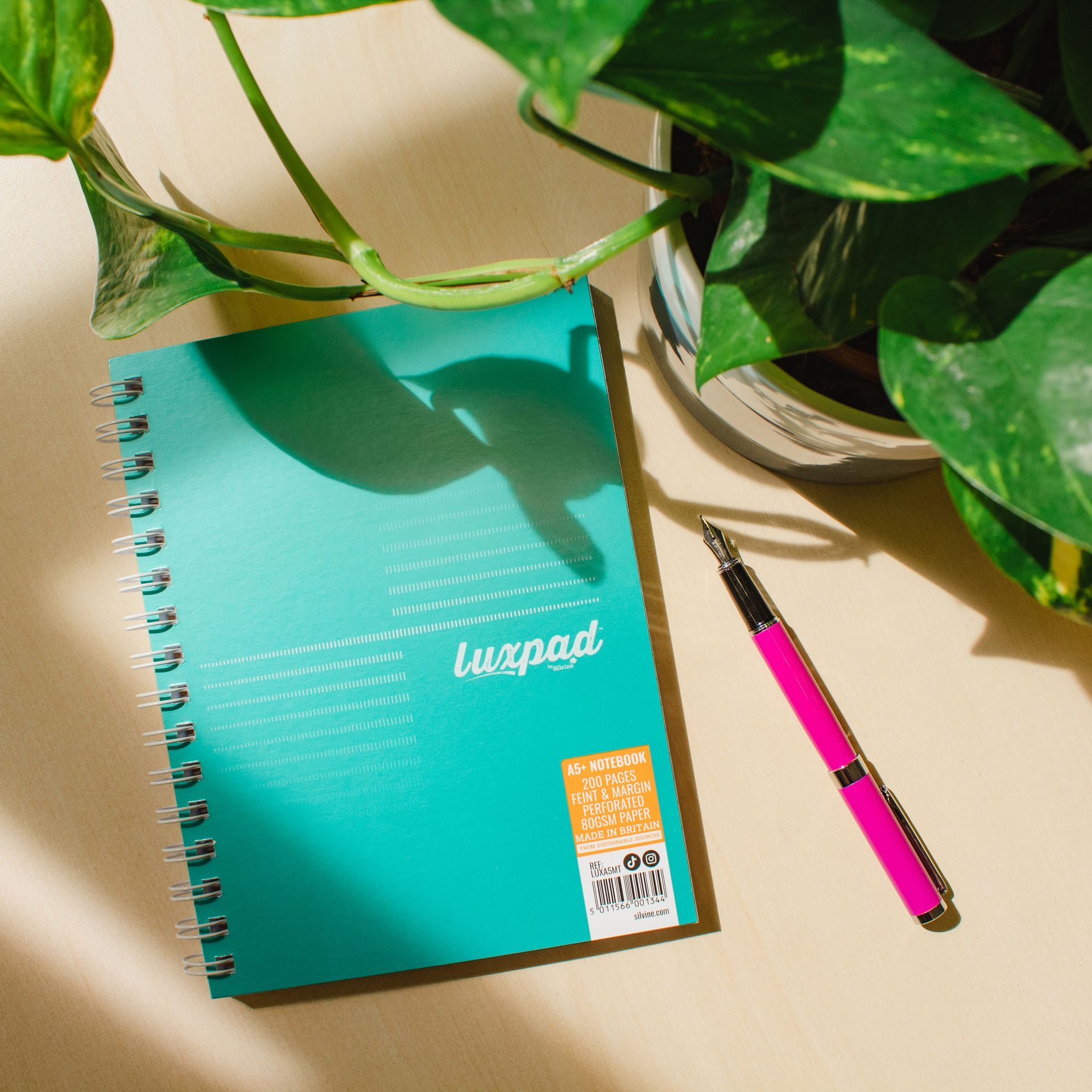 Teal metallic notebook on desk with plant, pen and the sun shining upon them from a window out of frame.