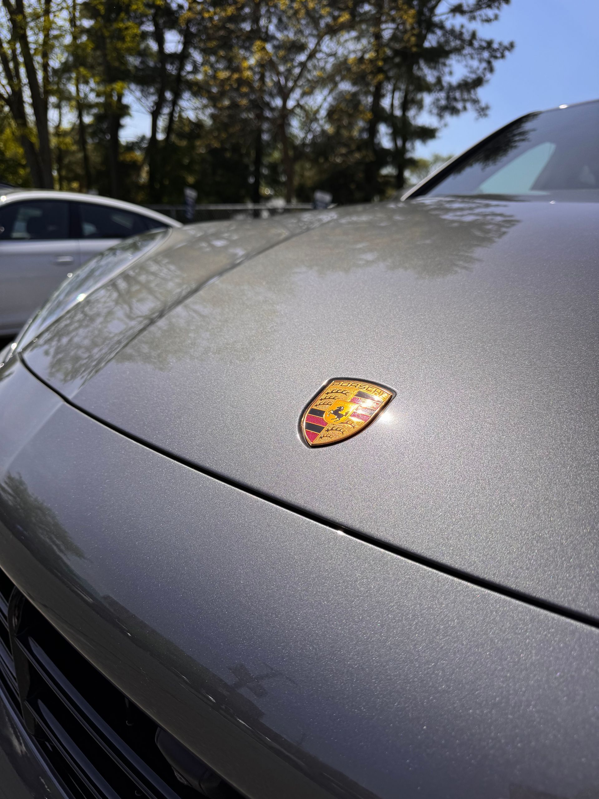 Silver Porsche hood badge close-up with sunlight and blurred parked cars in the background