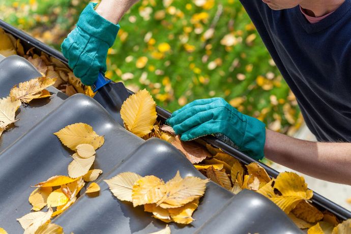 A person wearing green gloves uses a small tool to clear dry, yellow autumn leaves from a black house gutter.