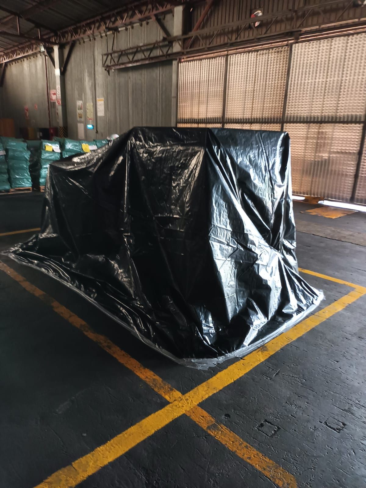 RUVAL FUMIGACIONES Y CONTROL DE PLAGAS SA DE CV --  ROEDORES