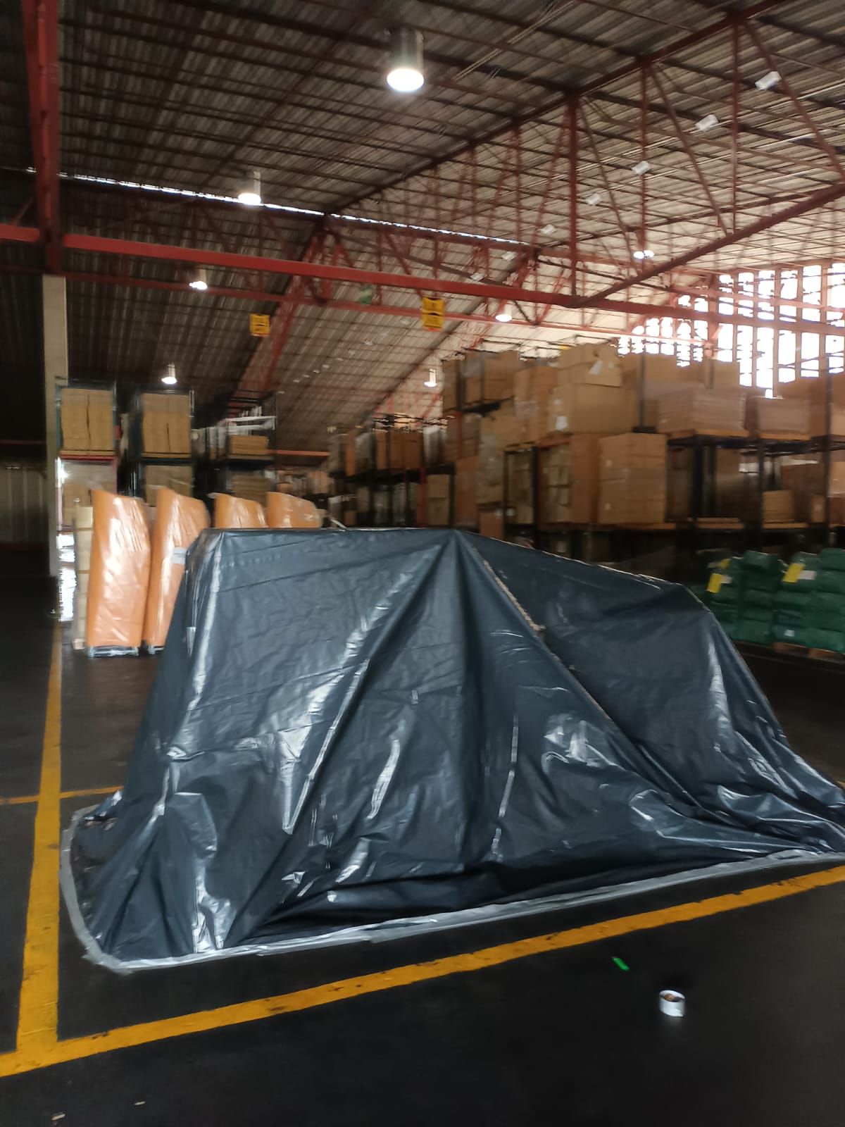 RUVAL FUMIGACIONES Y CONTROL DE PLAGAS SA DE CV --  INSECTOS