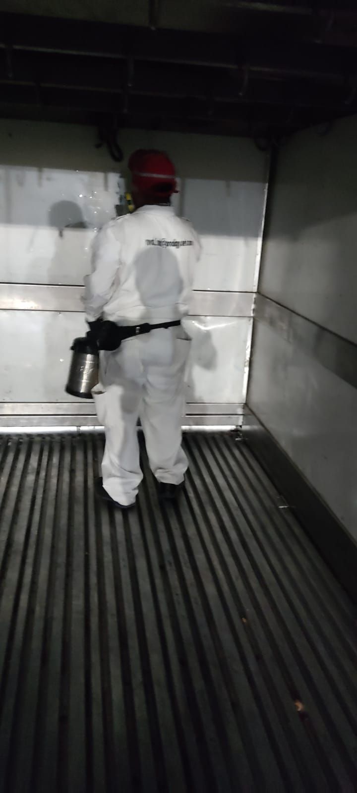 RUVAL FUMIGACIONES Y CONTROL DE PLAGAS SA DE CV --  FUMIGACIONES