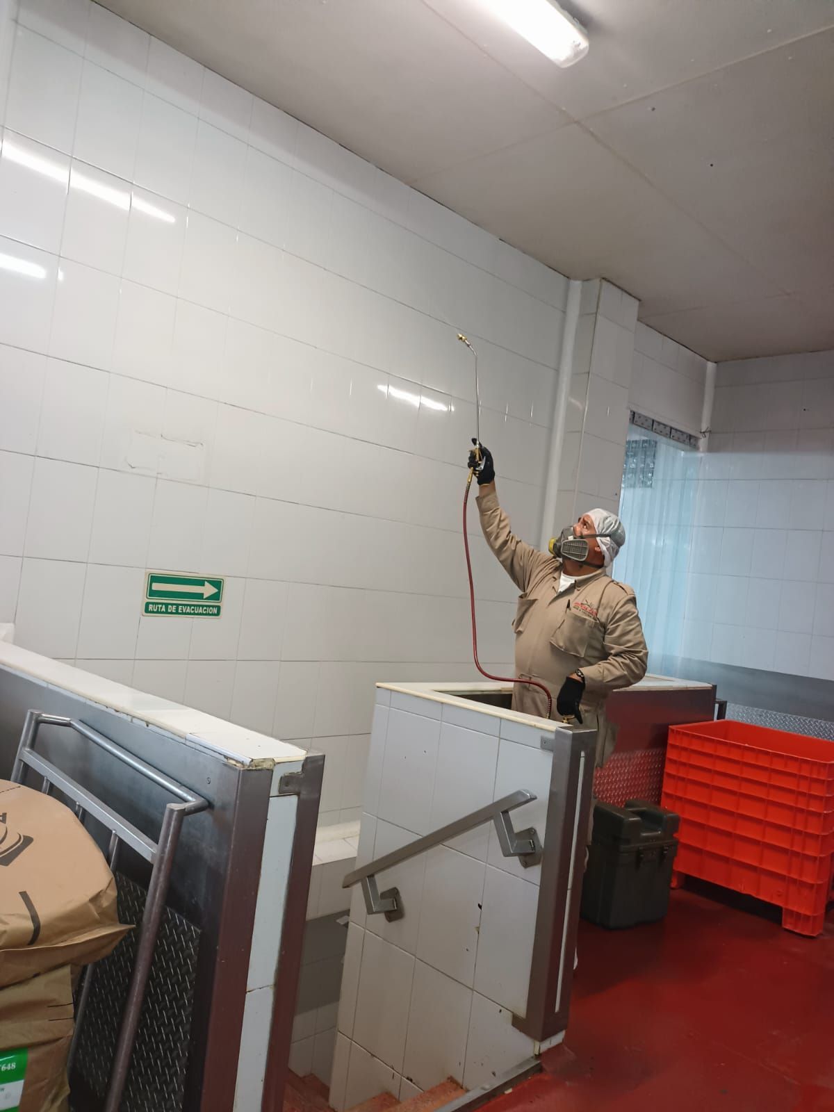 RUVAL FUMIGACIONES Y CONTROL DE PLAGAS SA DE CV --  CONTROL DE PLAGAS
