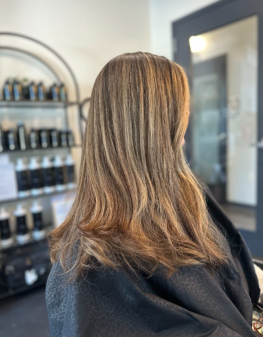 Back view of shoulder-length layered brown hair with blonde highlights in a salon chair