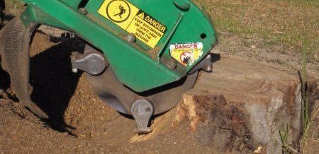 Stump Grinding - Gold Coast, QLD - Affordable Stump Grinding Stump Grinding - Gold Coast, QLD - Affordable Stump Grinding