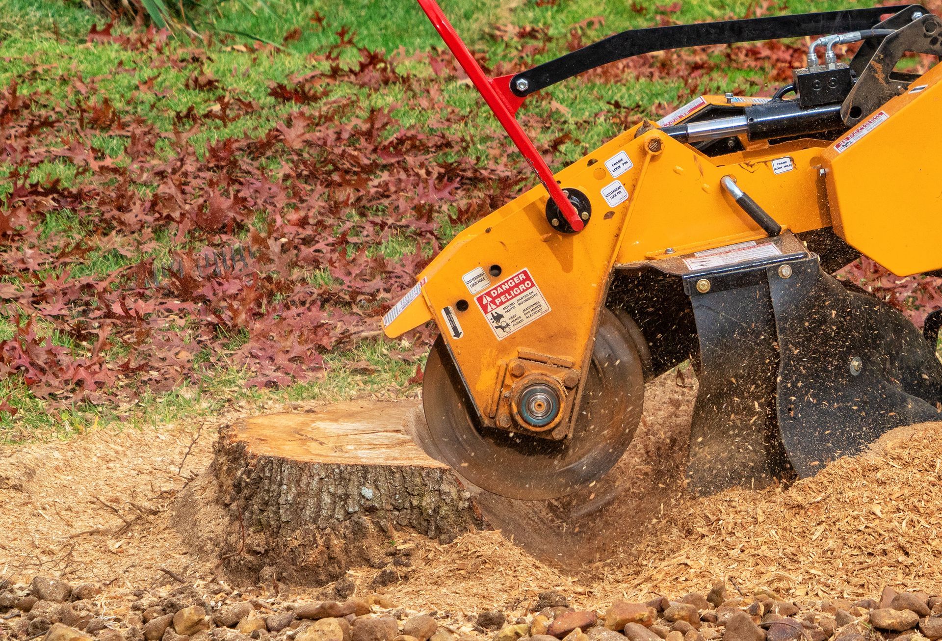 A stump grinder.