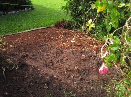Soil - Gold Coast, QLD - Affordable Stump Grinding
