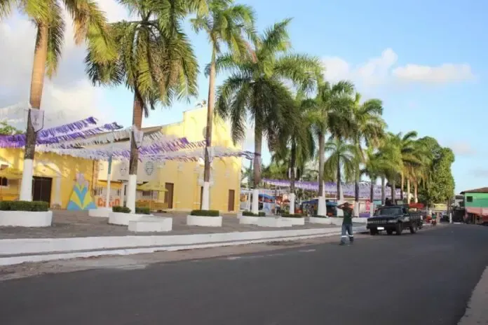 Uma rua com palmeiras e um prédio amarelo ao fundo