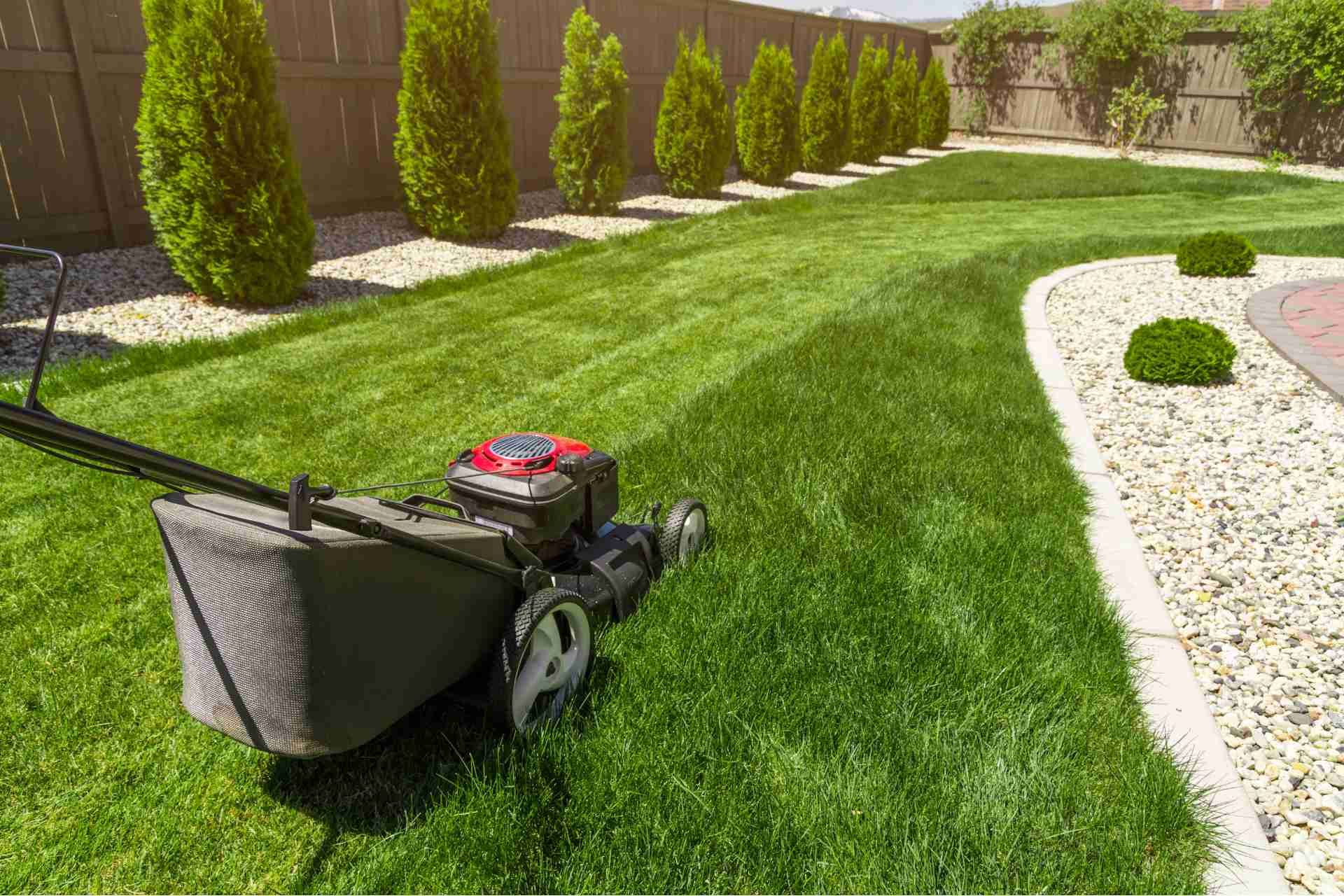 A Month-by-Month Lawn Care Calendar for Jackson County Homeowners