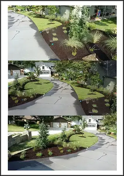 Landscaping Image 1