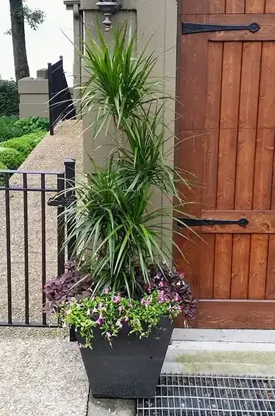 Landscaping Image 2