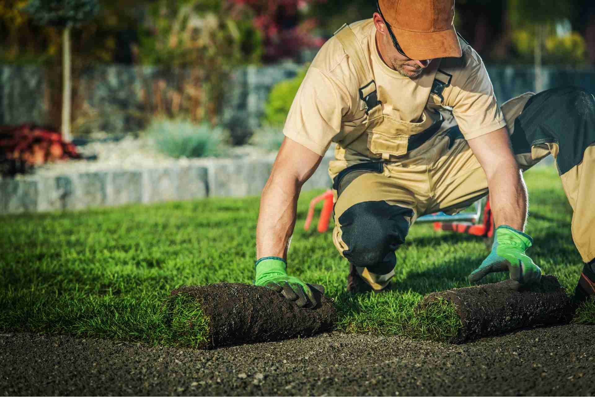 Local Landscapers Near Me to Transform My Garden