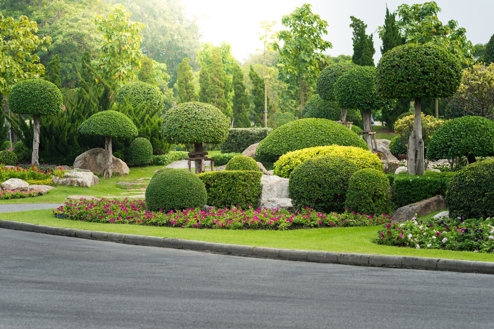 landscaping process