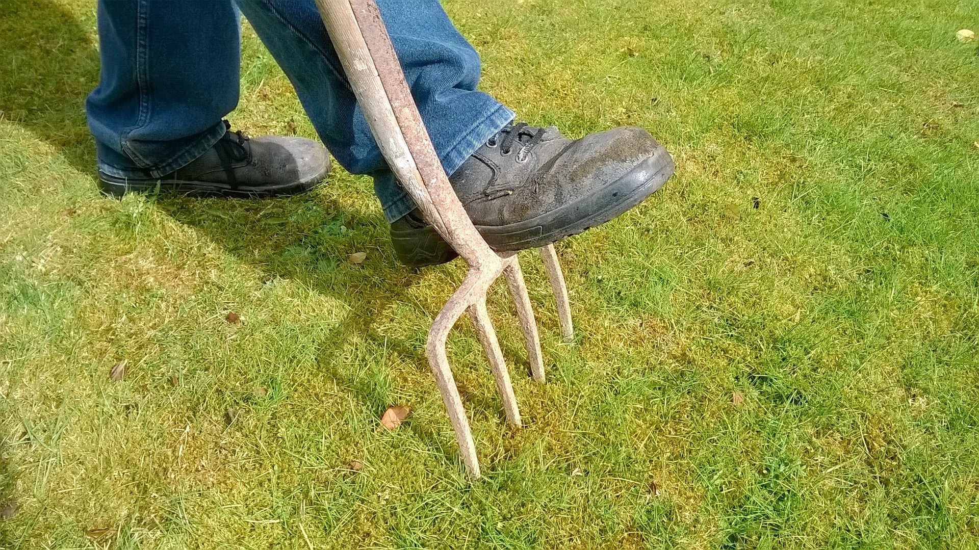how often should you aerate your lawn