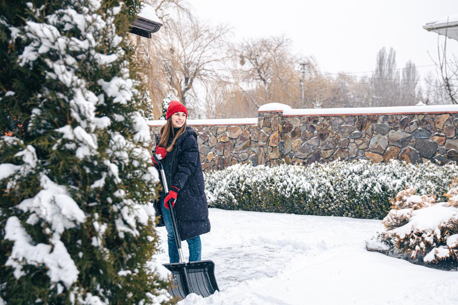 landscaping in winter