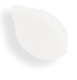 leaf professional landscapers
