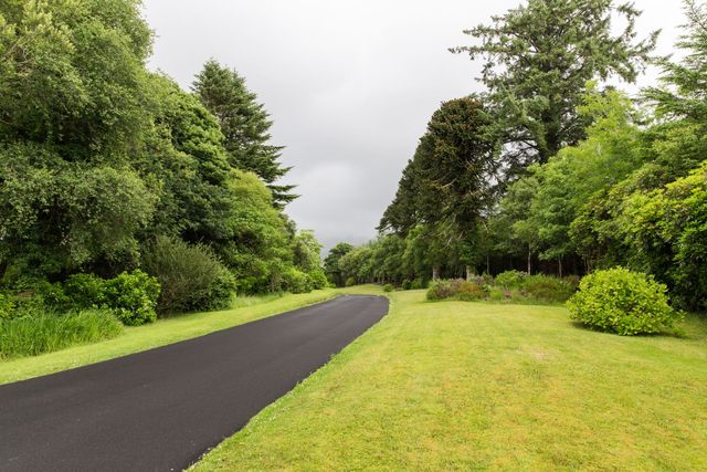 Curving paved path through a lush green park with trees and grass under an overcast sky