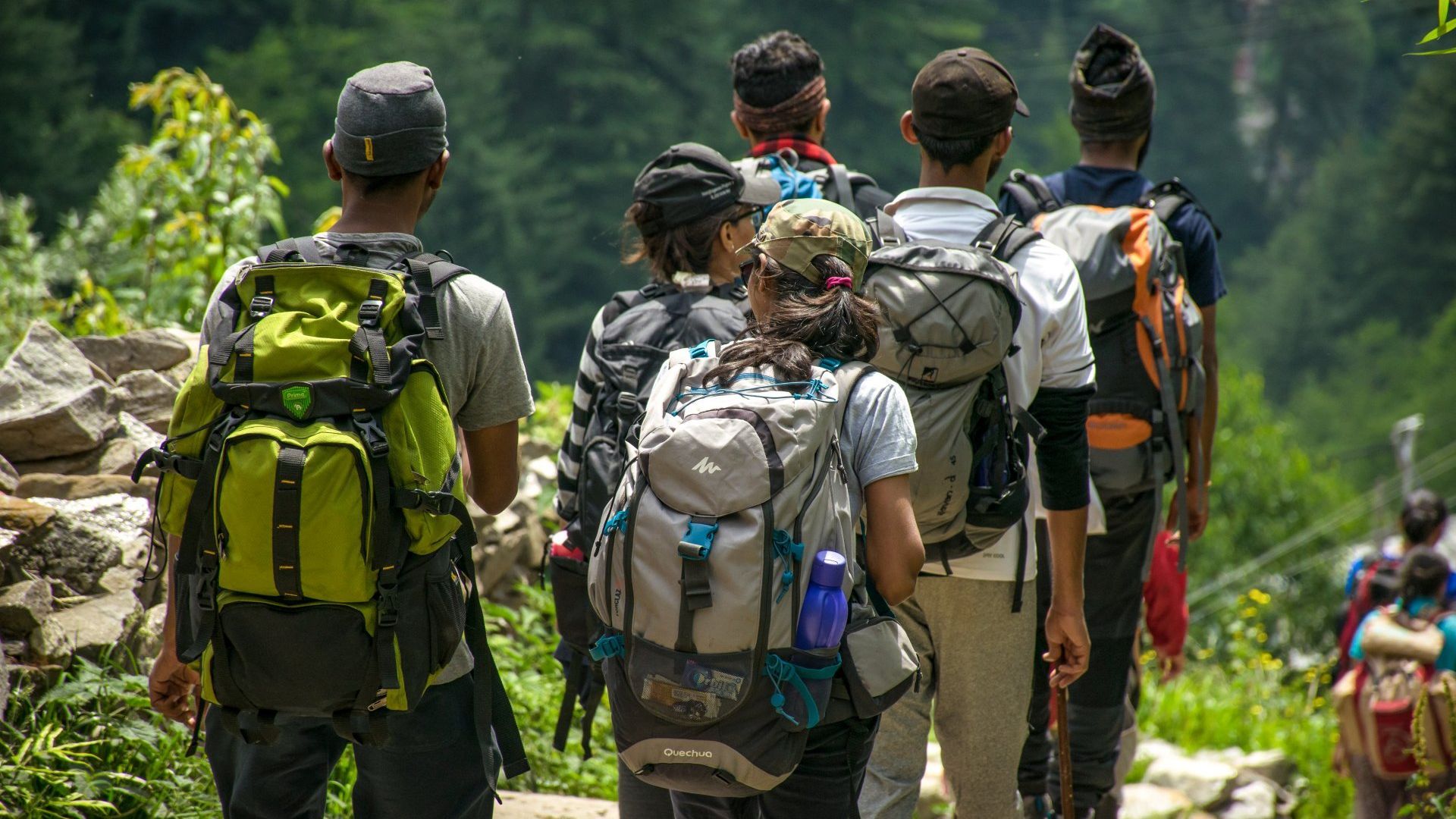 Group of hikers