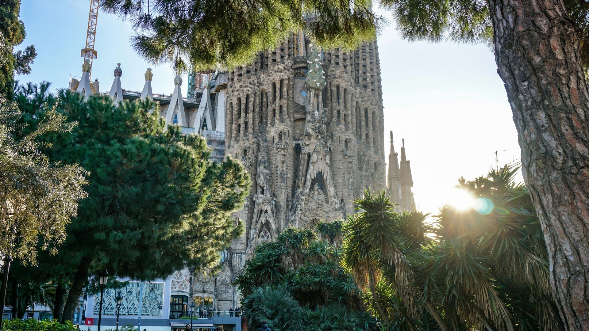 Sagrada FamÃlia church facade in Barcelona, framed by trees, with sunlight.