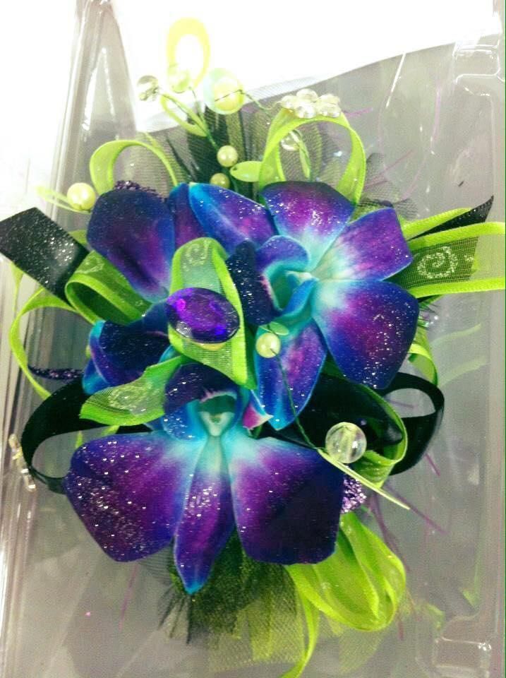A Close Up of a Purple Flower With Green Leaves — Flower Hunt in Robina, QLD