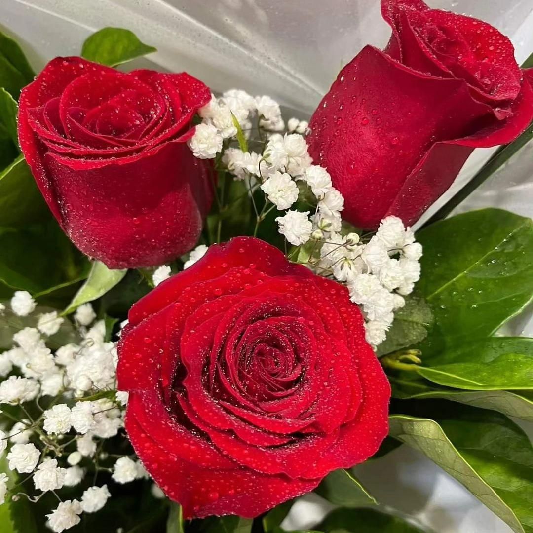 A Close Up of a Bouquet of Red Roses and Baby 's Breath — Flower Hunt in Robina, QLD