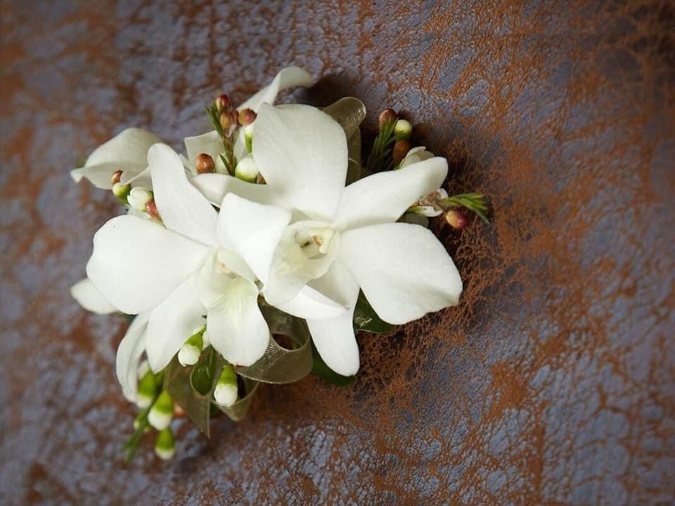 A Close Up of a White Flower on a Brown Surface — Flower Hunt in Robina, QLD