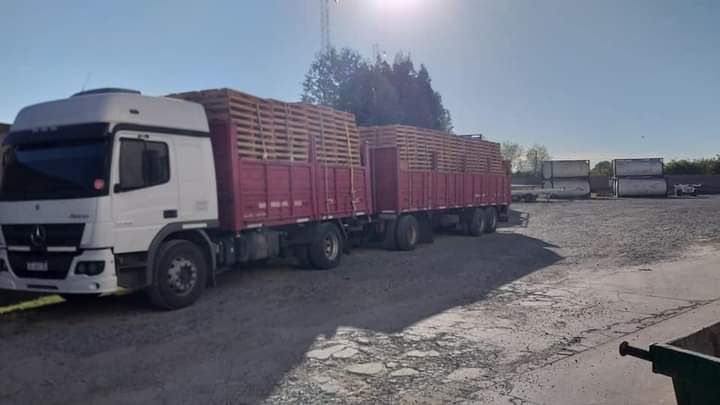 Un camión semirremolque blanco con remolque rojo estacionado en un aparcamiento bajo un sol radiante.
