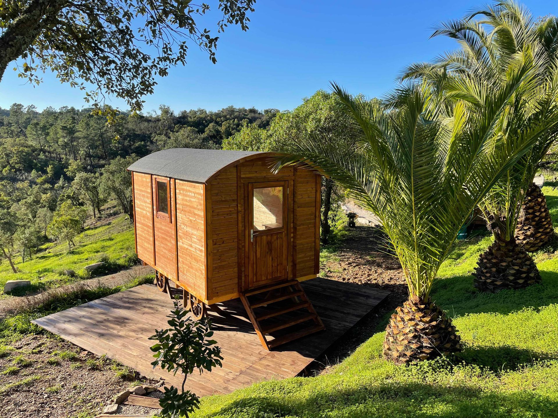 Wooden cabin on a grassy hillside with palm trees and forest in the background
