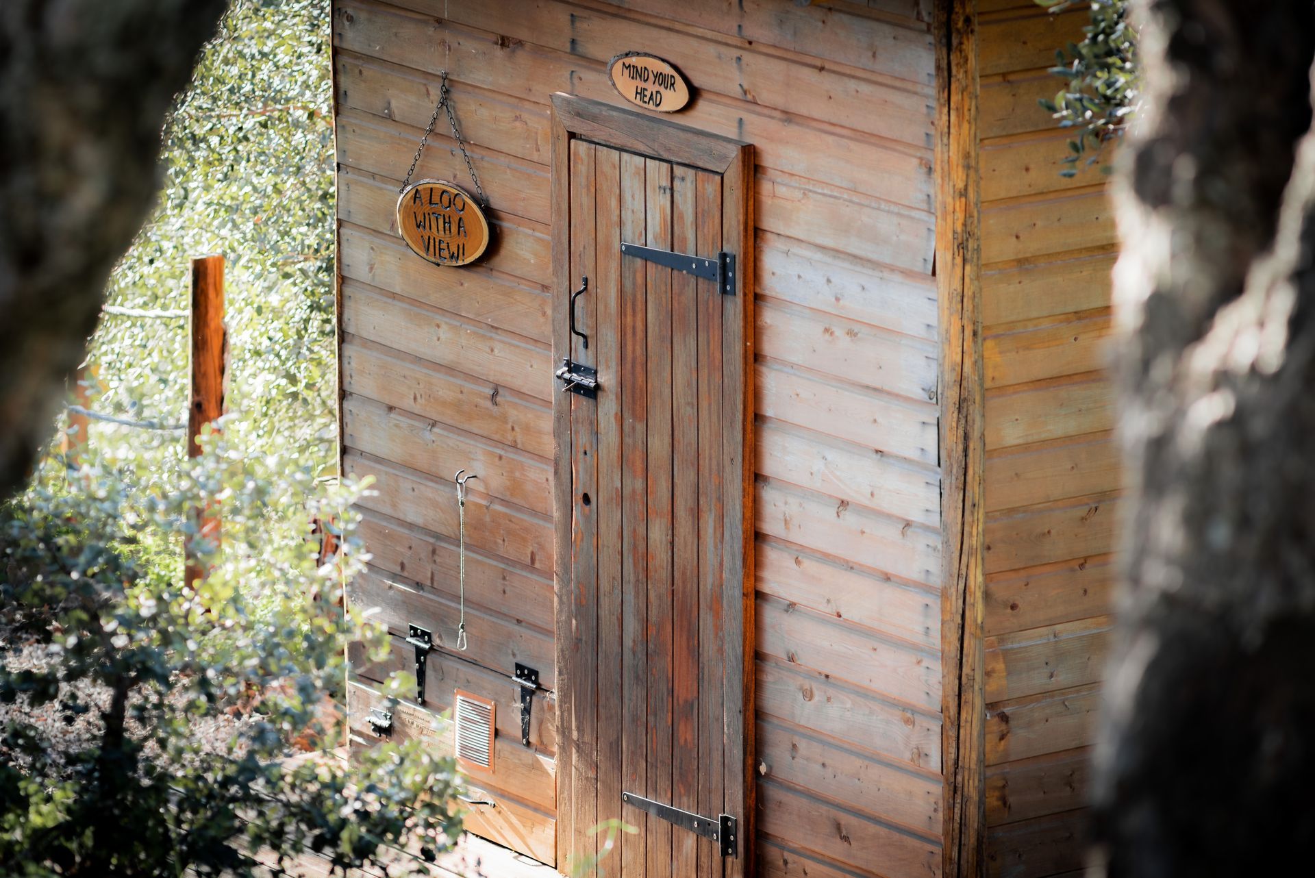 Wooden shed door with metal latch and round gauge, framed by greenery and a tree trunk