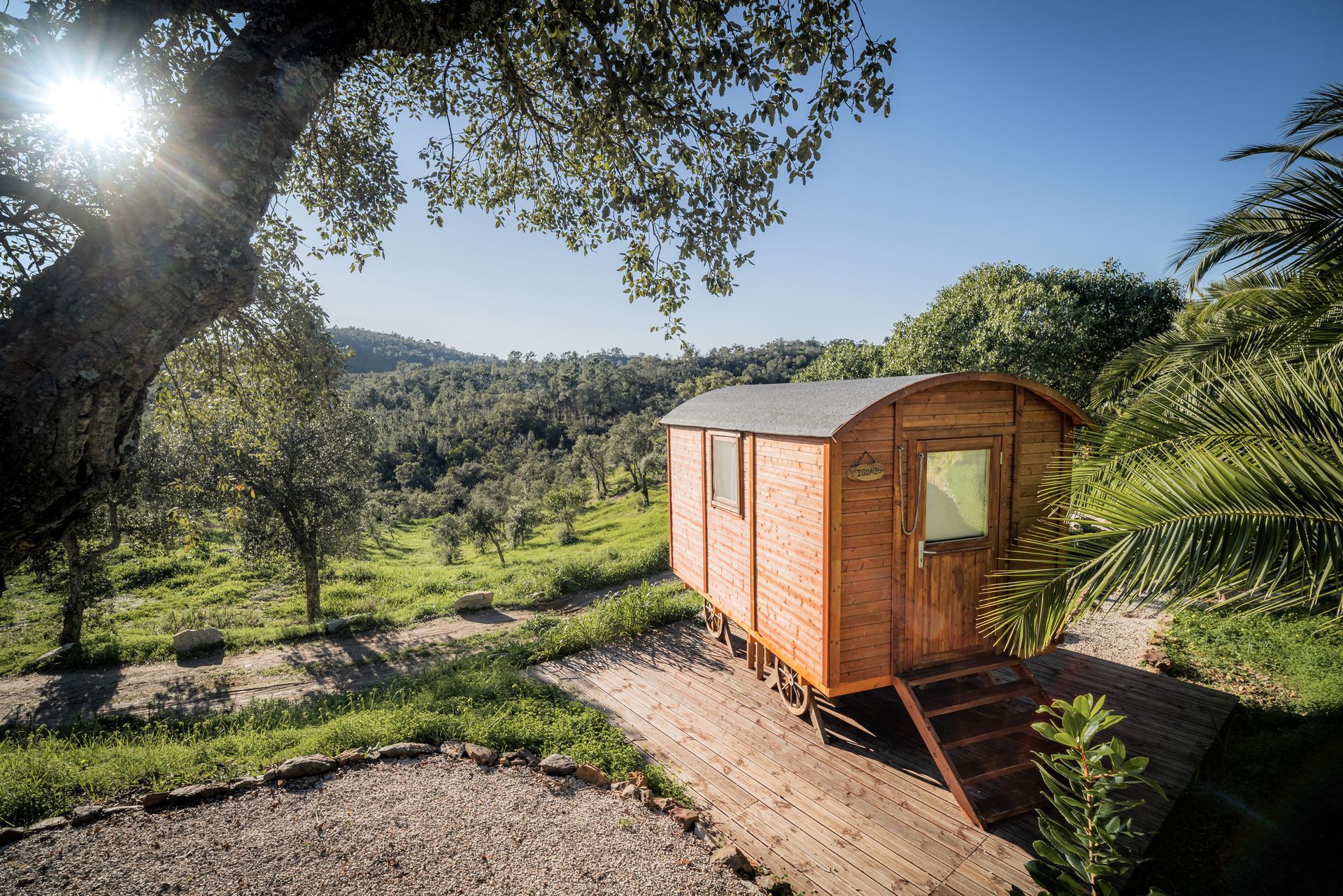 Wooden cabin on a grassy hillside with trees and mountains in bright sunlight
