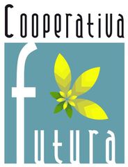 Impresa di Pulizie Futura, Cuneo