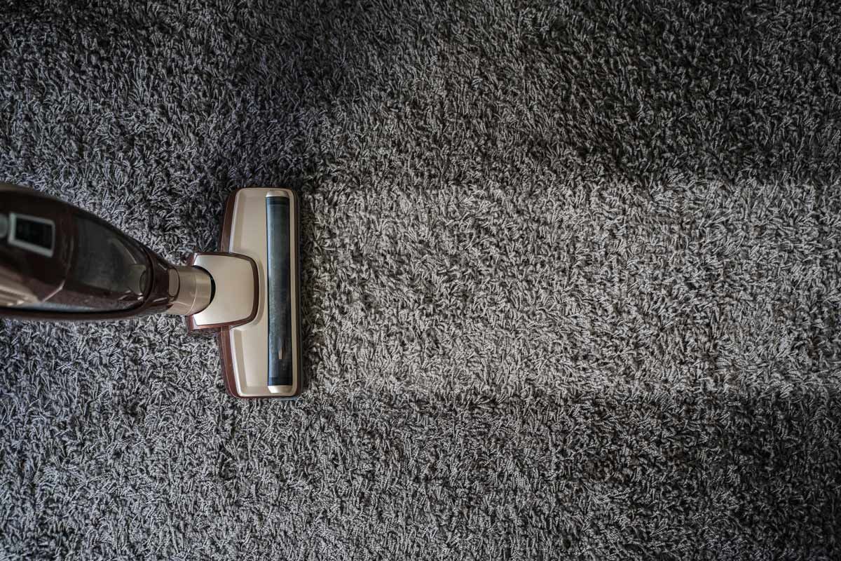 Vacuum cleaner on a carpeted floor