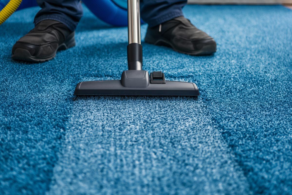 Cleaner vacuuming a carpeted floor