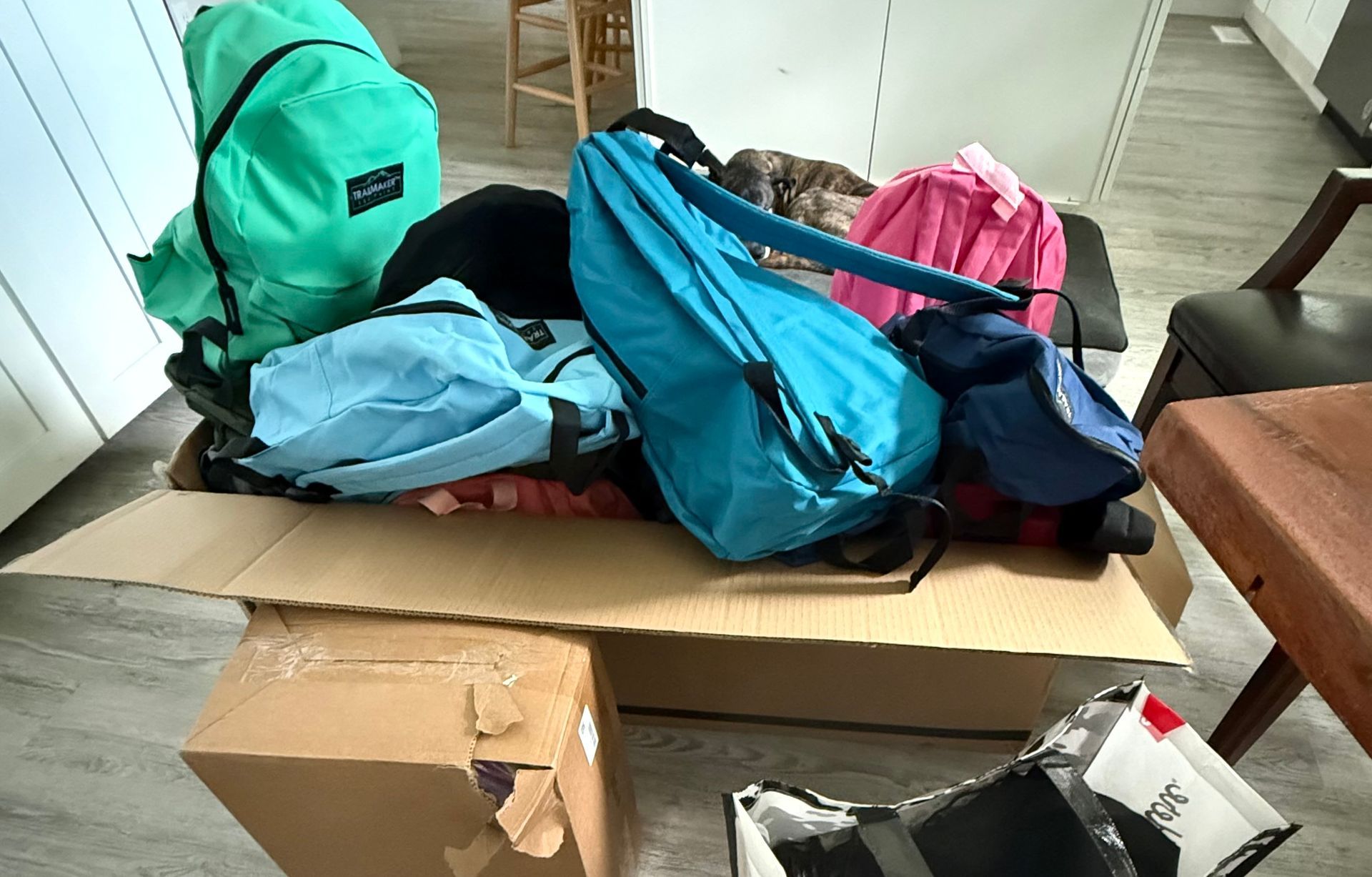 Backpack and duffel bags piled on a cardboard box in a room