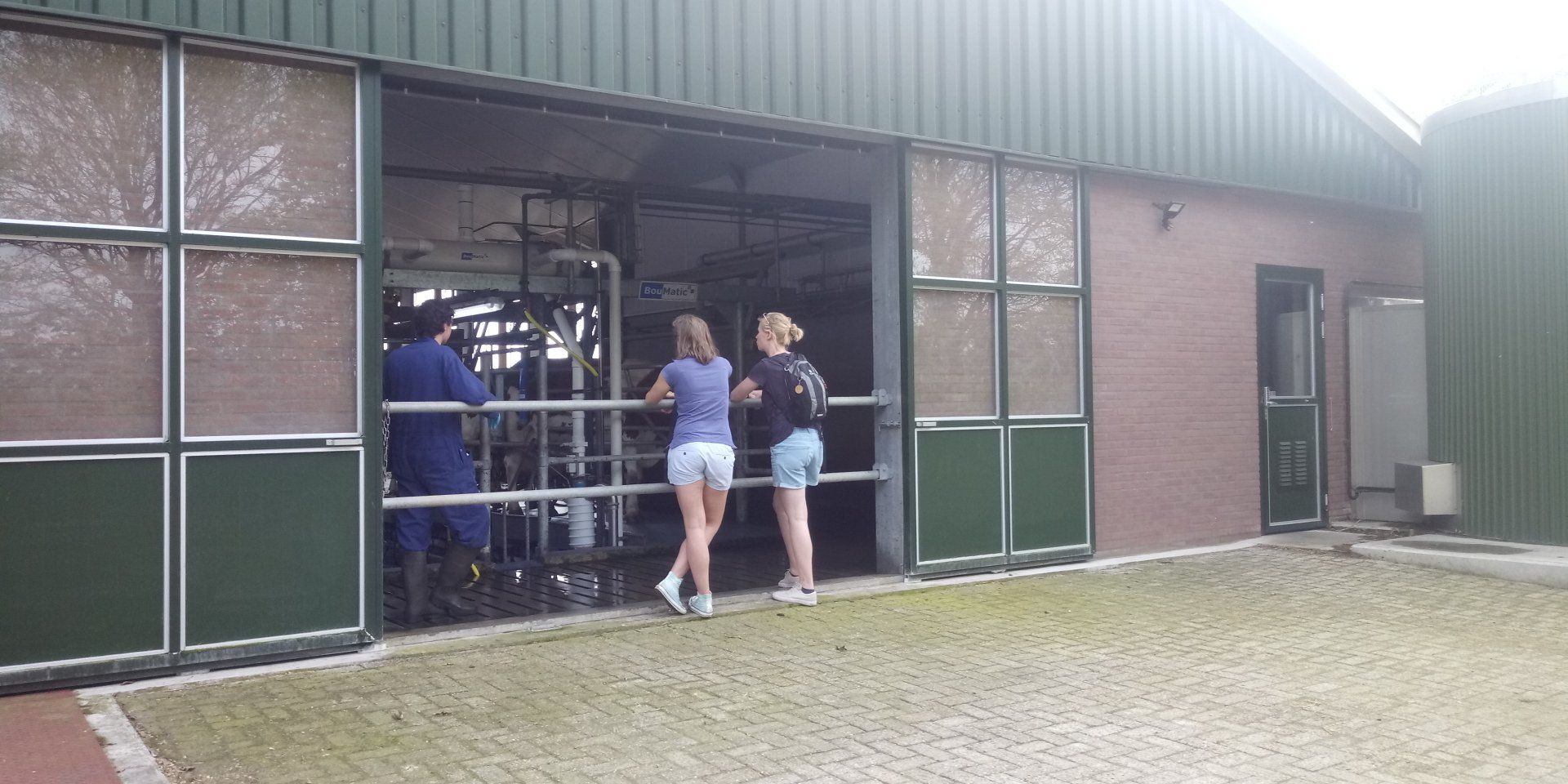 Kijkje bij het koeien melken