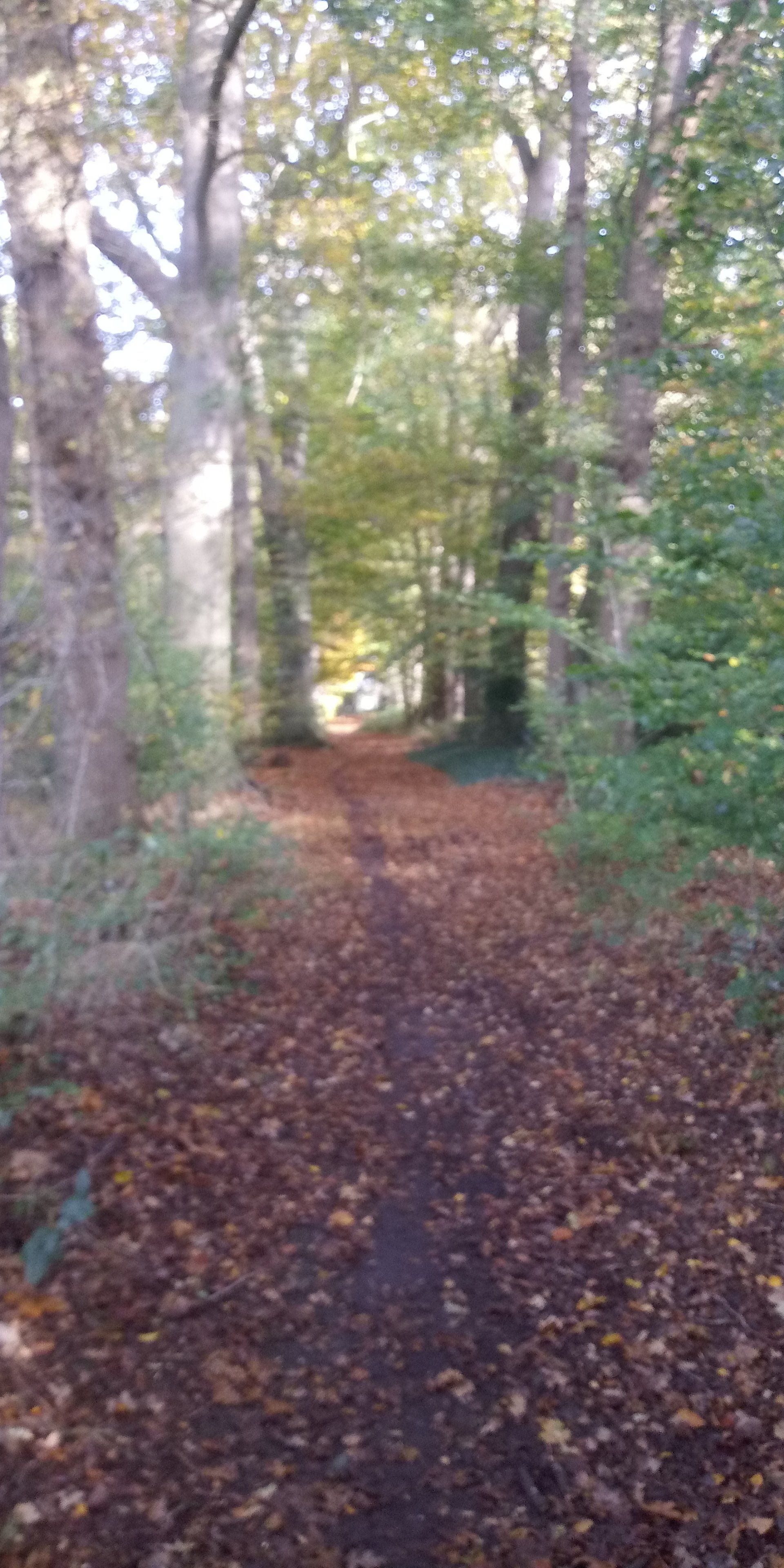 Wandeling Heeten