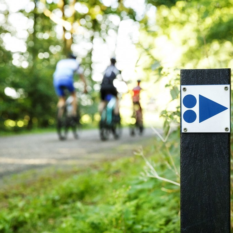 Mountainbike route Salland  - Foto Gijs Versteeg / Toerisme Rijssen-Holten